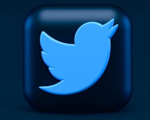 Twitter ads management services